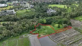 Tanah View Sawah Lodtunduh Ubud