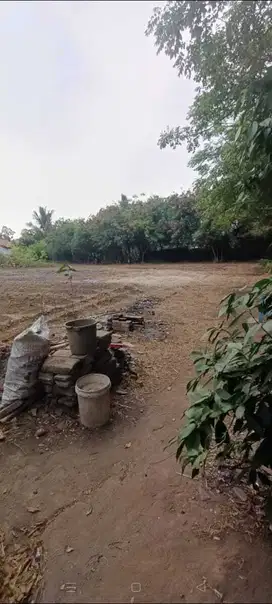 Dijual tanah rajeg , tangerang banten tanah kotak