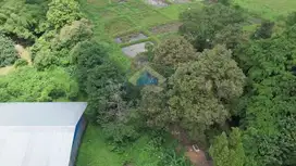 Dijual Tanah Strategis di Gabus, Serang - Banten