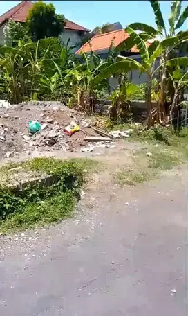 Jual Tanah Luas 2.5are Jl Sedap Malam Denpasar area Investasi Strategi
