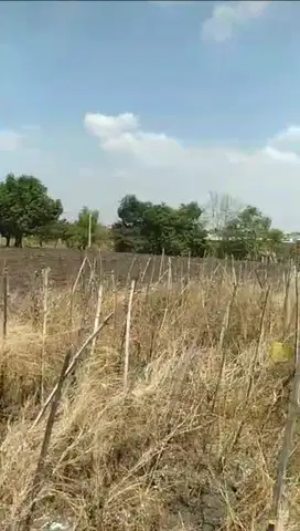 Tanah sawah dekat Pabrik Rotan Balong Panggang Gresik