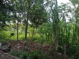 Dijual Tanah Ukuran 2.107 M²