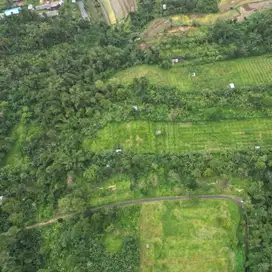 Dijual Cepat Murah Tanah Kavling Di Soka Tabanan Straategis