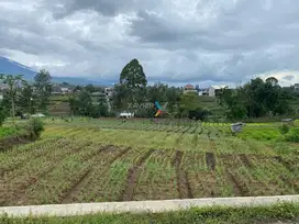 Dijual Tanah Siap Bangun di Puthuk Tritih Jl. Indragiri Sumberejo Batu