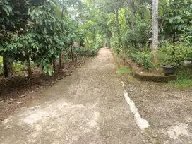 Tanah super murah dimatesih