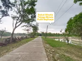 Jual tanah murah subur di Telaga Mriwis Putih Bejiharjo Gunung Kidul