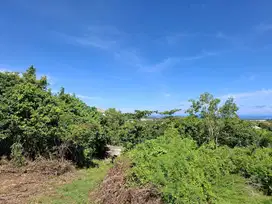 Jual Tanah Harga Global Luas 3.5are siap Bangun Lokasi Jl Pura Matsuka