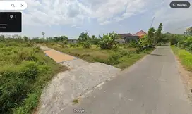 Tanah Murah Tanjung Lamongan Dijual cpt B.U Poll dkt Jl. Raya Provinsi