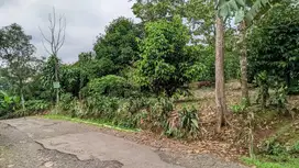 Dijual Jual Cepat Kebun : Durian, Manggis Dan Alpukat.