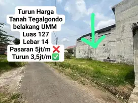 Turun Harga Tanah Tegalgondo Belakang Kampus UMM Malang
