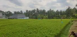 Tanah jalan utama Tirta Tawar Ubud Bali