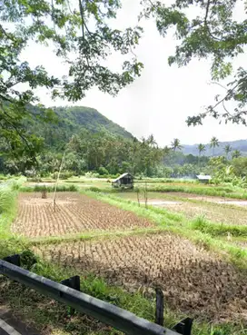 Tanah Zona Pariwisata dekat Amankila Hotel dan Alila Manggis Bali