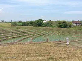 Tanah View Sawah Dan Gunung Dekat Pasut Dan Kelating Bali