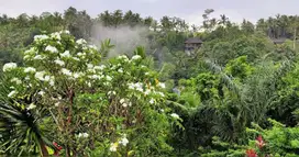 Land for Leasehold in Kedewatan Ubud with jungle views