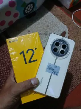 Realme 12+ 5g 8/256 fullset
