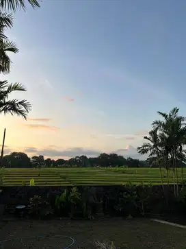 DI JUAL TANAH CANGGU TIYINGTUTUL BONUS RUMAH DENGAN VIEW GREENBELT