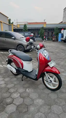 Scoopy MuLus Banget