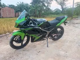 Kawasaki Ninja RR New 2014