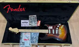 FENDER DELUXE PLAYER STRATOCASTER GOLD HARDWARE ORIGINAL THN 2010