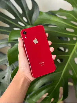 iphone xr 64 gb ex inter all operator