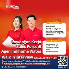 sales force internet