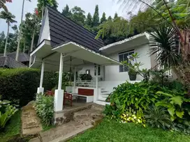 Dijual Cepat Rumah Semi Villa di Dago lingkungan asri