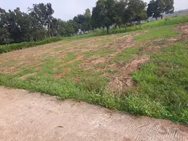DIJUAL Cepat dan Murah lahan padet Disetu Ciledug Bekasi Zona Industr