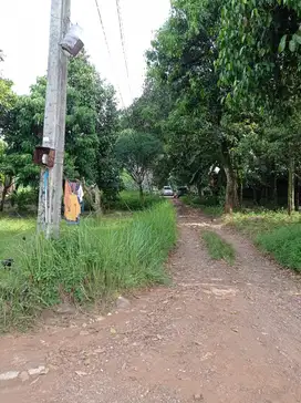 Jual Cepat (BU) Tanah PASIR ANGIN CILEUNGSI Bogor