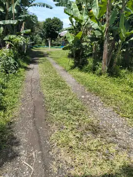 JUAL TANAH  CUKANG GALIH CURUG