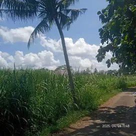 INVESTASI MURAH TANAH PEKARANGAN DI NANGGULAN DEKAT RESTO LA BARKA.360