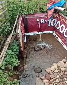 Dijual cepat tanah darat di ciapus depan gn salak kab bogor