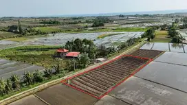 Tanah Bentuk Ideal Untuk Kavling Tibubiyu Pasut Tabanan