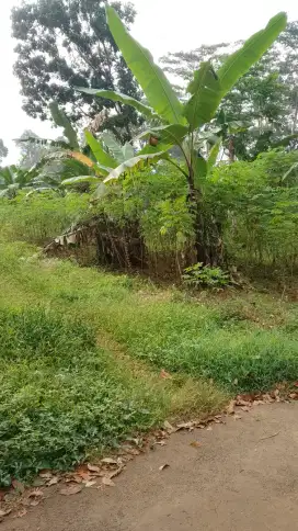 Tanah murah dekat kampus Unnes