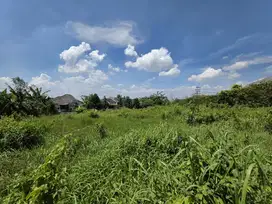 Tanah SHM Joyoagung, Investasi Dekat UIN & UB