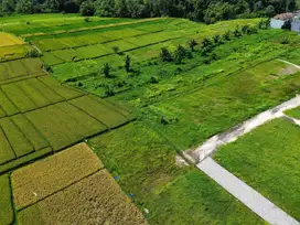 Tanah siap bangun view sawah di kedungu tabanan