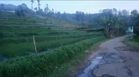Tanah kebun udara sejuk, pinggir jln desa Cijambu