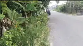 Tanah di Arengka Jl Guru Muhajirin, Kota Pekanbaru