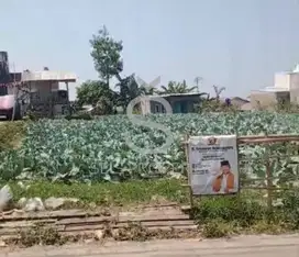 DIJUAL TANAH AKSES MASUK MOBIL WANGUNSARI LEMBANG BDG BARAT.