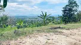 Tanah diatas bukit Bengkaung di Senteluk Batu Layar