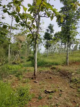 Dijual Tanah LT 8690 m² di Mekarlaksana, Ciparay Bandung