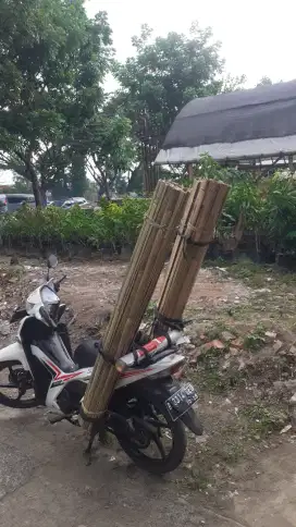 RENG BAMBU || BAMBU BELAH || JARO || LANJARAN || TURUS || AJIR