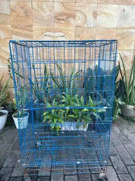 Jual kandang kucing bekas 3 tingkat