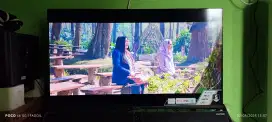 Tv polytron 43inch