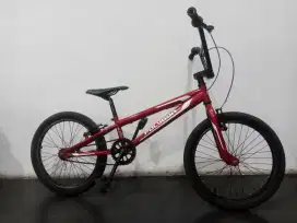 Bmx Polygon Blizzard