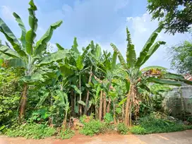 Dijual sebidang tanah seluas 200 m