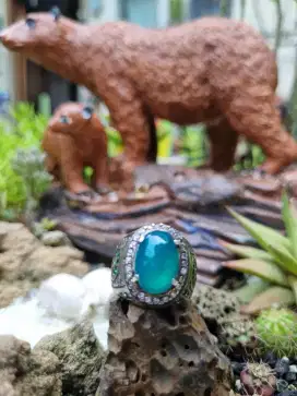 Bacan Doko Semi Warna
