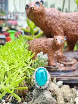 Bacan Doko Biru Relaxa