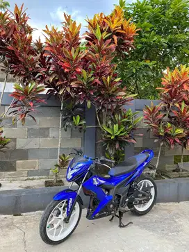 Sonic th 2016 surat kumplit