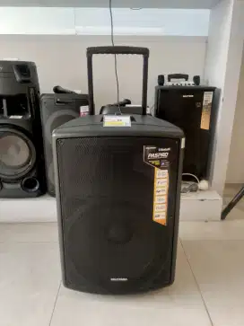 POLYTRON Active Speaker Paspro 15F3