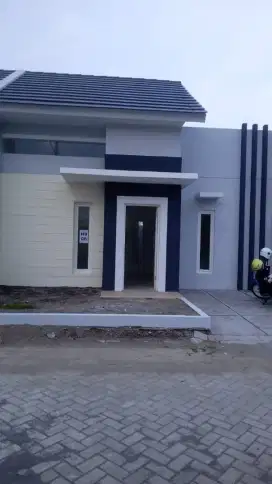 Oper Kridet : 80 juta